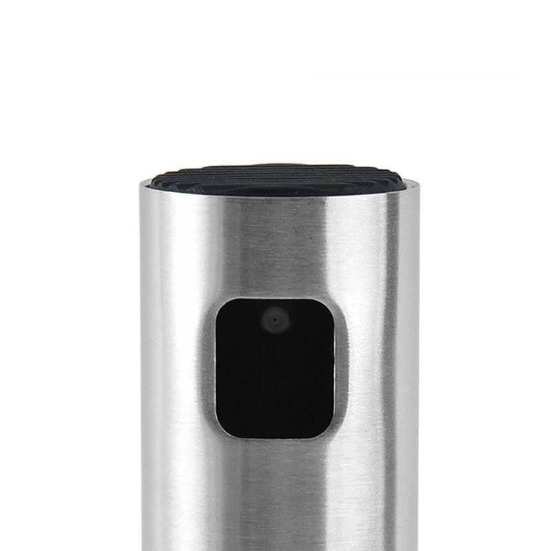 Bbq Roestvrijstalen Spuitfles, - Commercial Kitchen Sprayer recensie en prijs